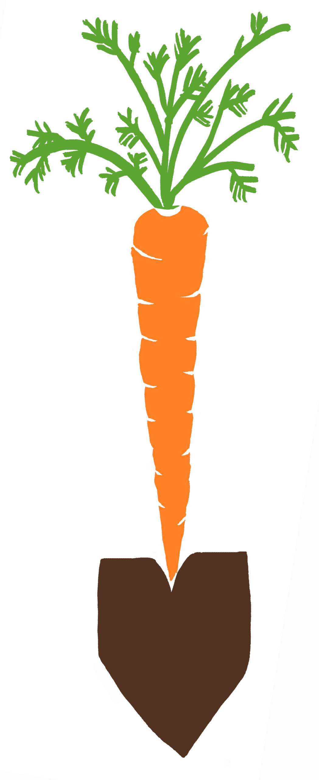 Common Ground Community Garden